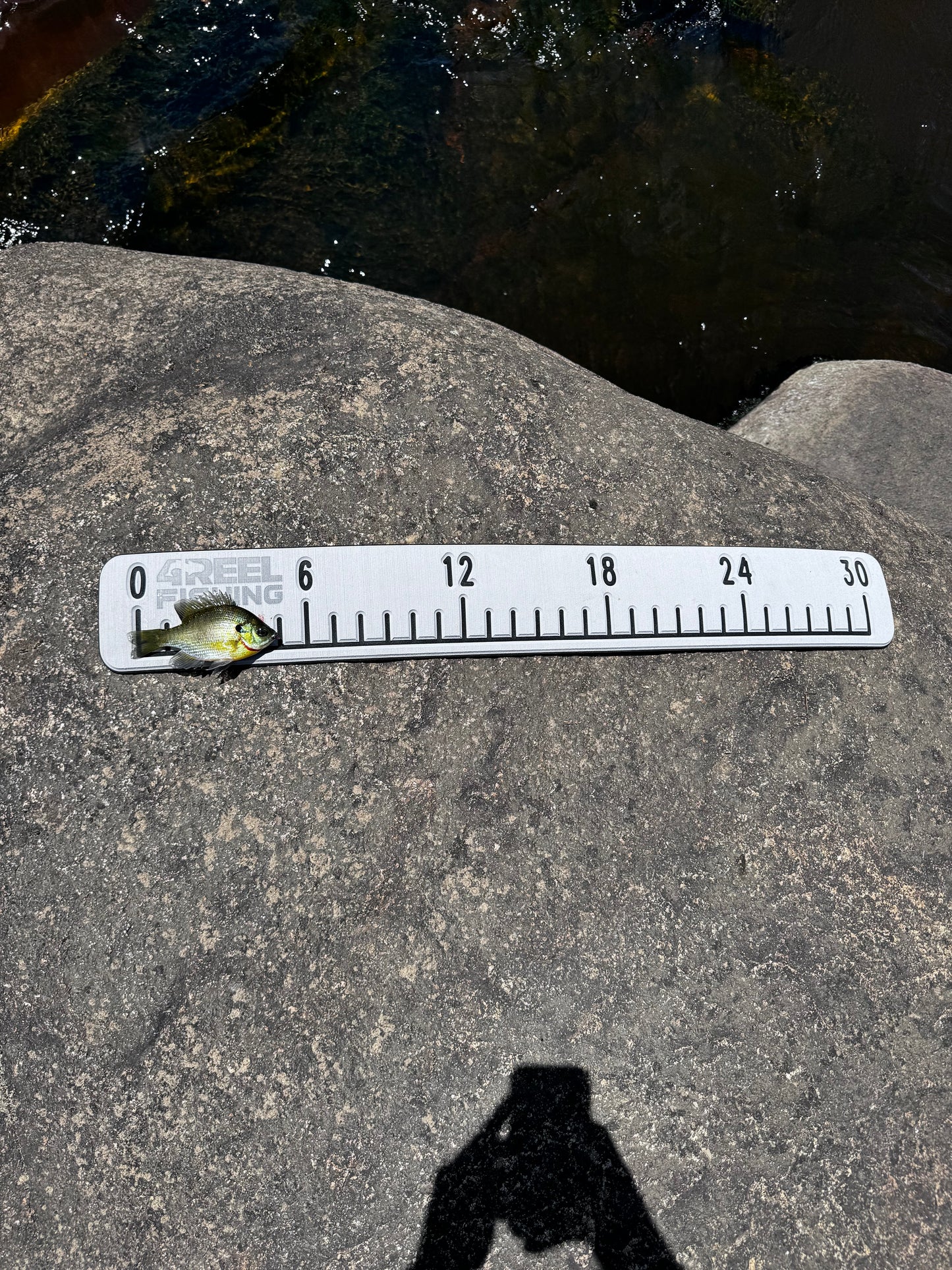 4REEL 30" EVA Adhesive Fish Ruler