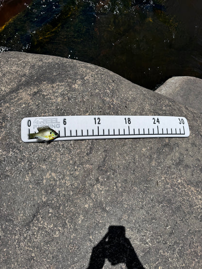 4REEL 30" EVA Adhesive Fish Ruler